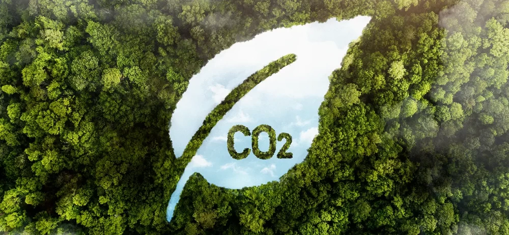 Bilan carbone Audimis